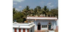 கோச்சடை
